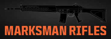 Marksman Rifles