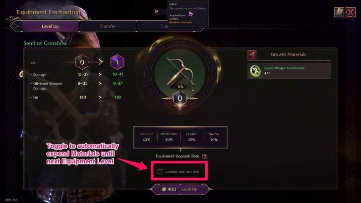 Throne and Liberty - Equipment Continue Until Next Level