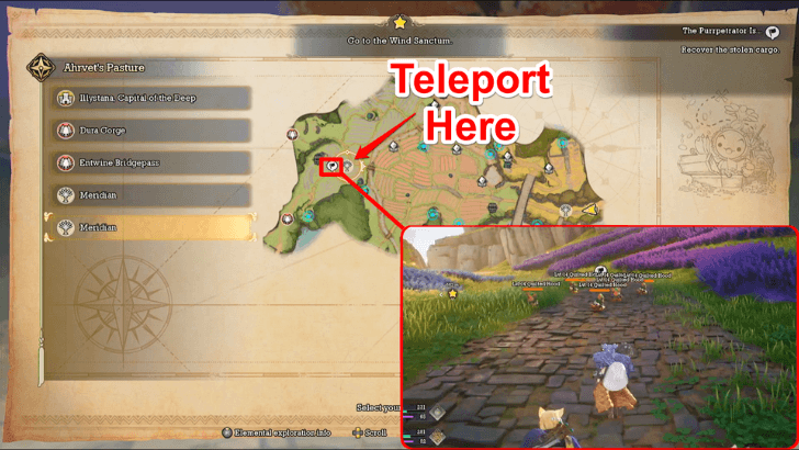 The Purrpetrator Is Start