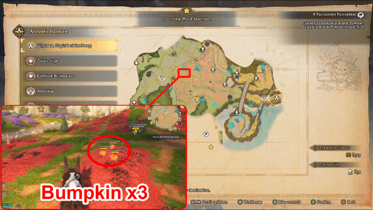 A Purrsistent Purroblem Bumpkin x3