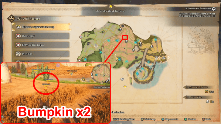 A Purrsistent Purroblem Bumpkin x2