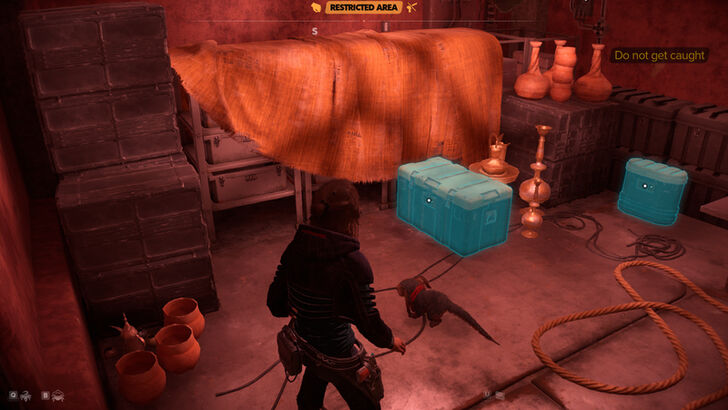 Star Wars Outlaws - Myrra Hutt Cartel Vault