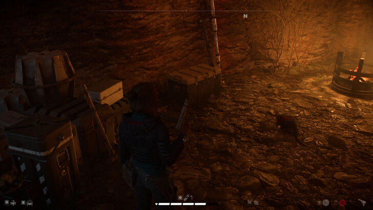 Star Wars Outlaws - Goma’s Outlook