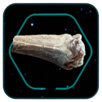 Star Wars Outlaws Smelly Bone