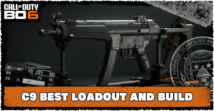 C9 Best Loadout and Build