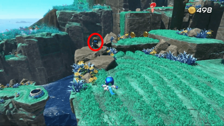 Funky Fungi Bot 1 Location