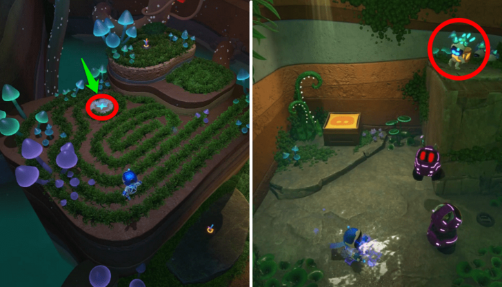 Funky Fungi Bot 3 Location