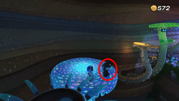 Funky Fungi Bot 2 Location