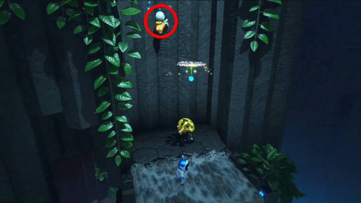 Funky Fungi Bot 5 Location