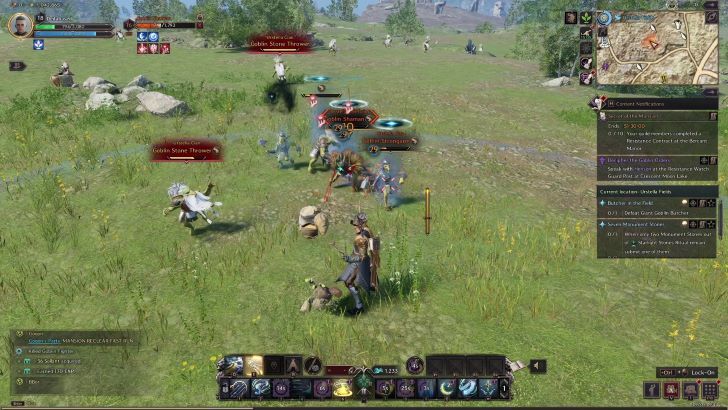 Throne and Liberty - Farming Enemies