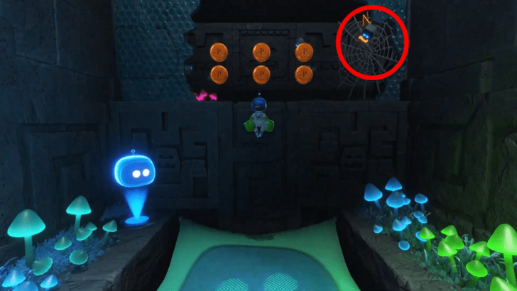 Wormy Passage Bot 5 Location