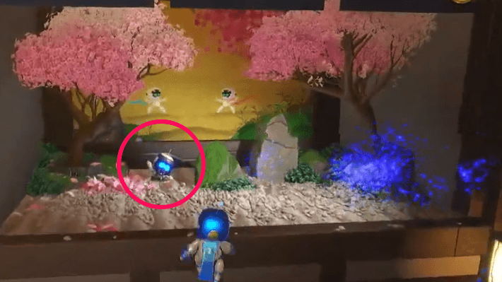 Danger Dojo Bot 4 Location