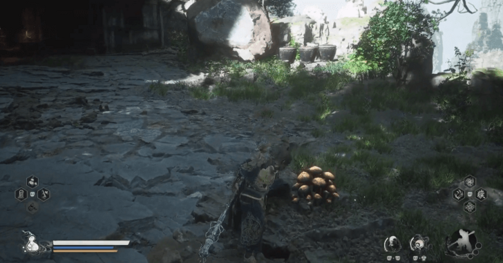 Gather Mushroom to Encounter Fungiwoman