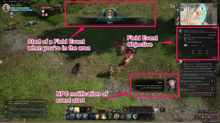 Throne and Liberty -Field Event Start