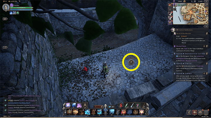 Throne and Liberty - Hob