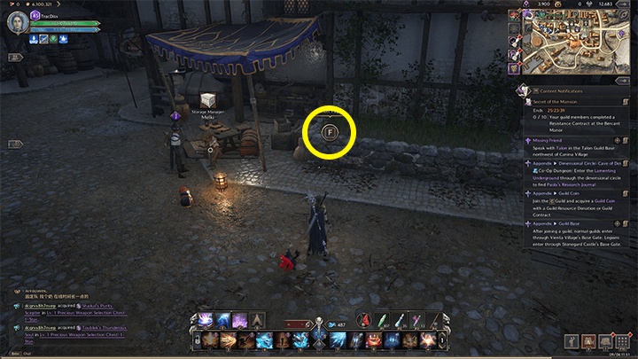 Throne and Liberty - Reville, Demon of Solisium!