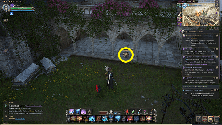 Throne and Liberty - About Hamel 1