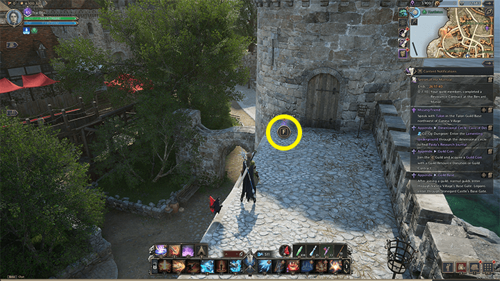 Throne and Liberty - Helpie