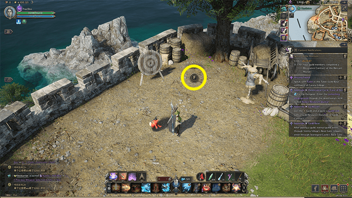 Throne and Liberty - Helpie