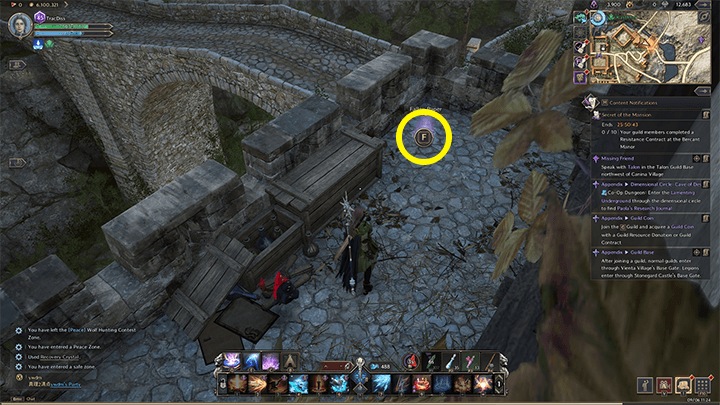 Throne and Liberty - Henry