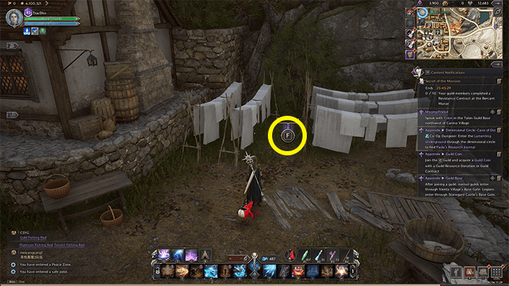 Throne and Liberty - Helpie