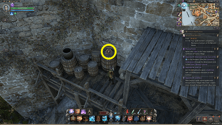 Throne and Liberty - A Hunter