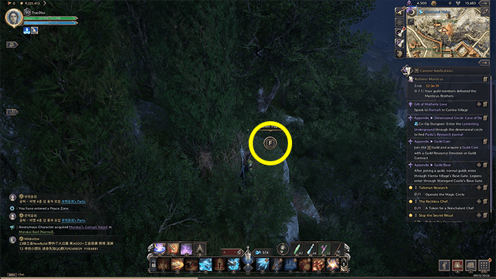 Throne and Liberty - Helpie