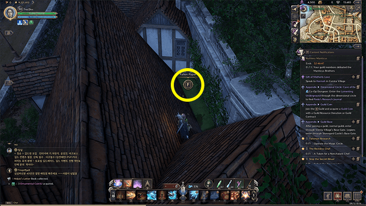 Throne and Liberty - Helpie