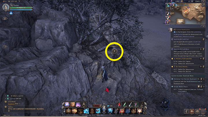 Throne and Liberty - To the Pirate King Adelico 1