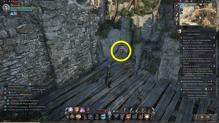 Throne and Liberty - Talisman Operation Request Form