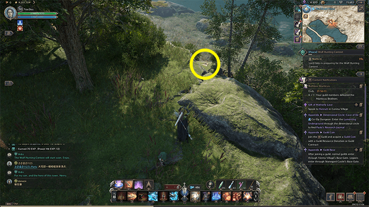 Throne and Liberty - A Hunter