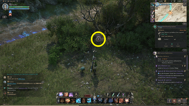 Throne and Liberty - A Hunter