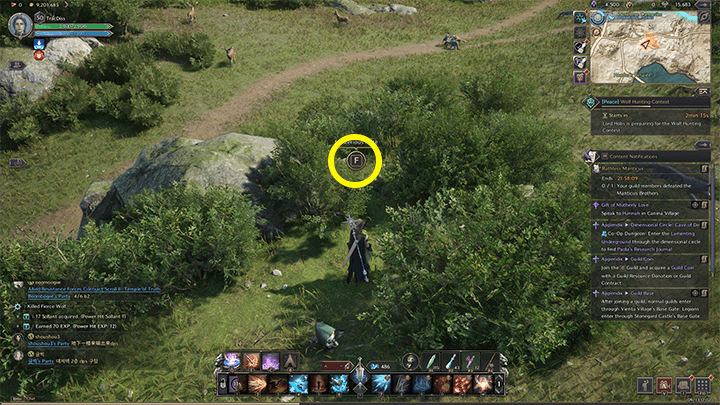 Throne and Liberty - A Hunter