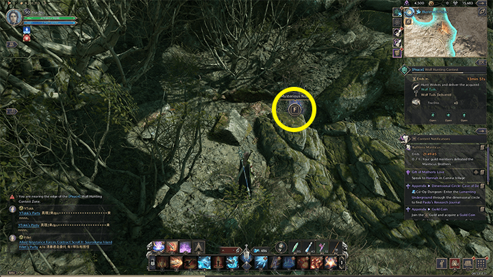 Throne and Liberty - A Hunter