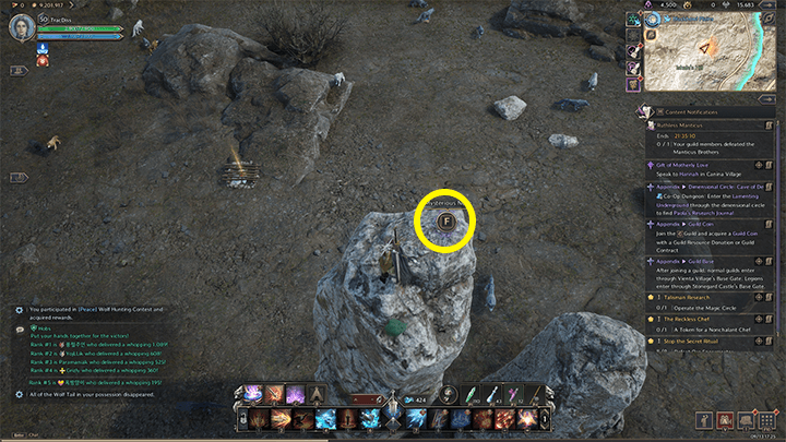 Throne and Liberty - A Hunter