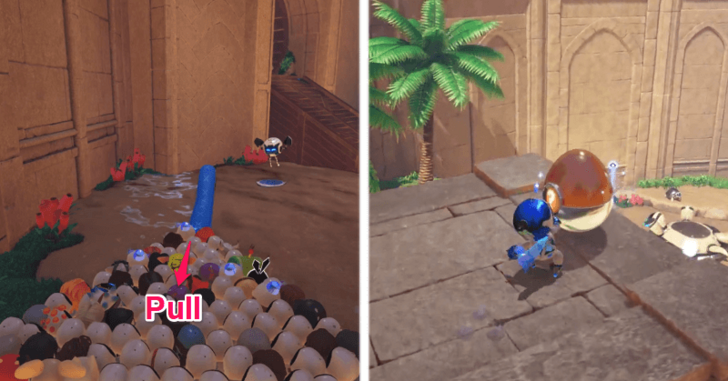 Crash Site VIP Egg 6