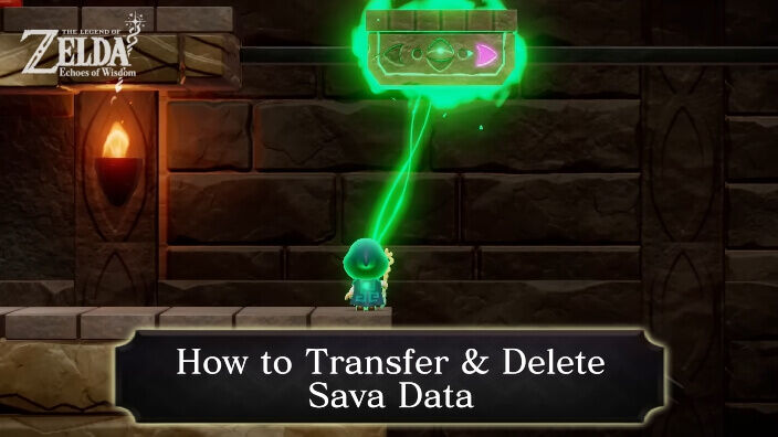 Zelda Echoes of Wisdom How to Transfer and Delete Save Data