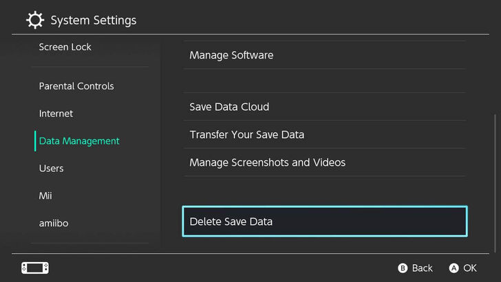 Delete Save Data