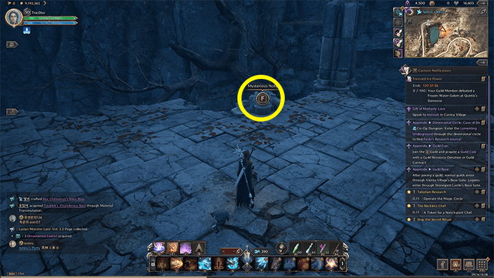 Throne and Liberty - Missing Person 2