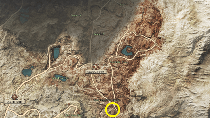 Throne and Liberty - Missing Person 3