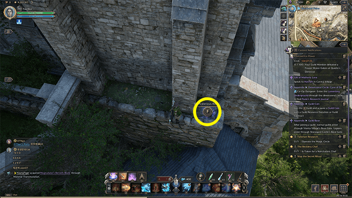 Throne and Liberty - About Hamel 2