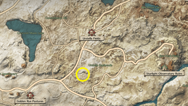 Throne and Liberty - Where is Ruki? 1