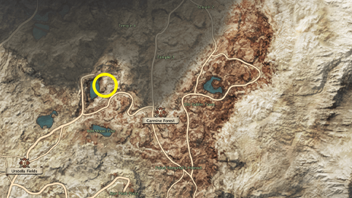 Throne and Liberty - Missing Person 2