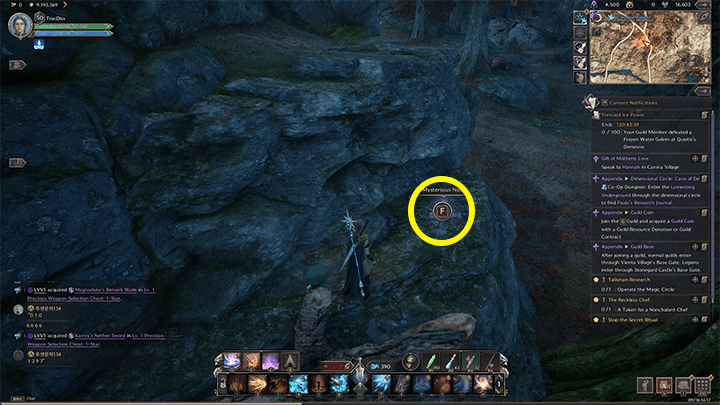 Throne and Liberty - Missing Person 3