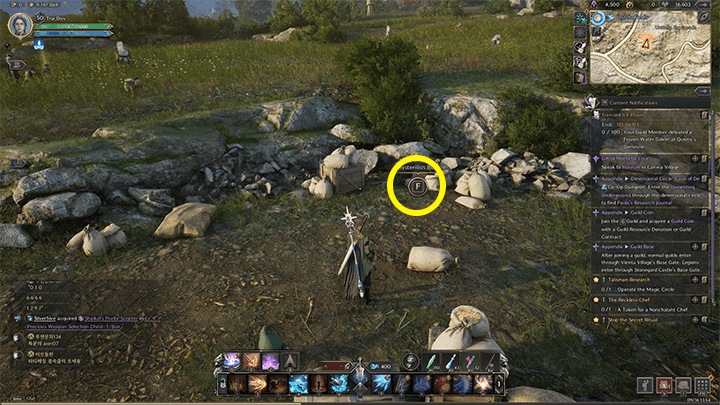 Throne and Liberty - Where is Ruki? 1