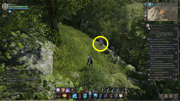 Throne and Liberty - Henry