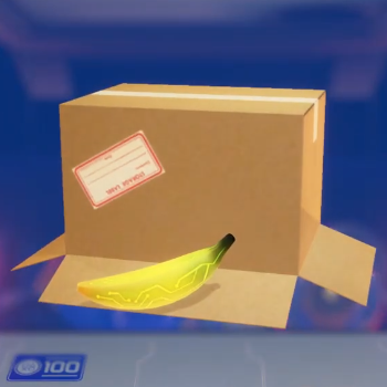 Astro Bot - Blend-In Box 3000