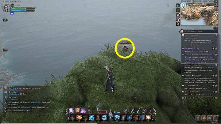 Throne and Liberty - The Resistance Combat Manual 8