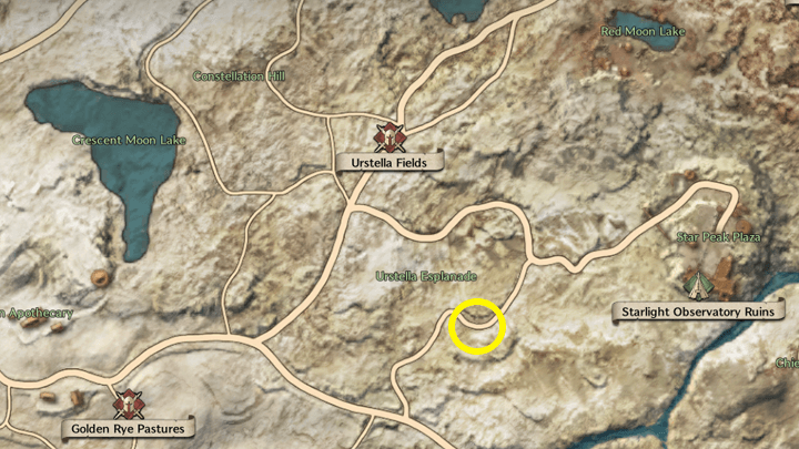 Throne and Liberty - Where is Ruki? 4