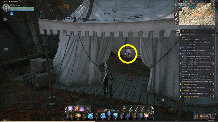 Throne and Liberty - The Resistance Combat Manual 3